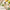 Green Bamboo - Frasco e Fragrancia