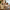 Bora Bora - Lifestyle