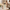 Hotel Hilton - Hotel Hilton Soft 2