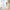 Bora Bora - Scent Experience
