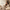 Santal Blanc - Fragrance Story
